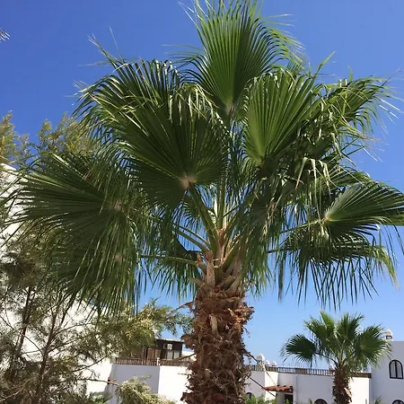 Green Appartamento Costa Teguise