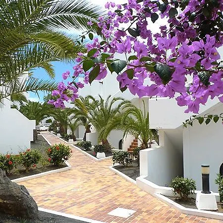 Green Costa Teguise